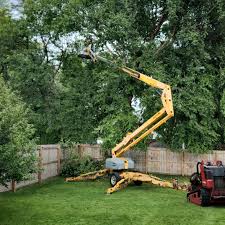 Why Choose Our Tree Removal Services in Bonner West Riverside, MT?